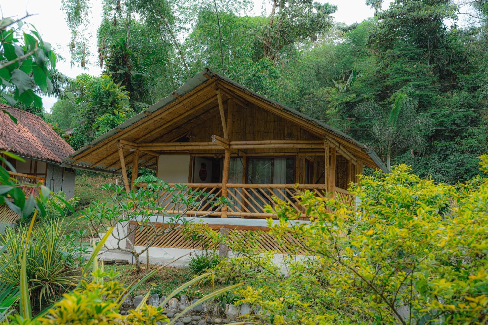 Finca Las Palmas Ecolodge Puyo Bagian luar foto