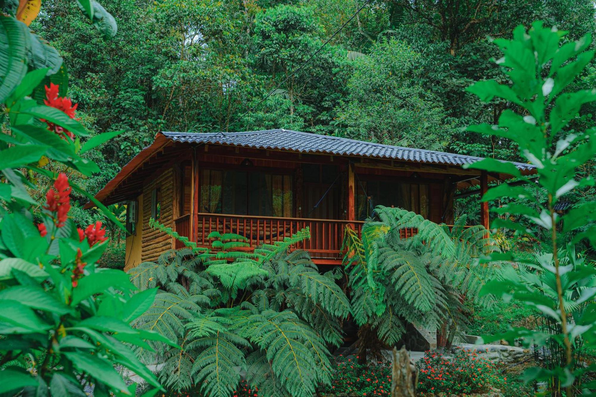 Finca Las Palmas Ecolodge Puyo Bagian luar foto