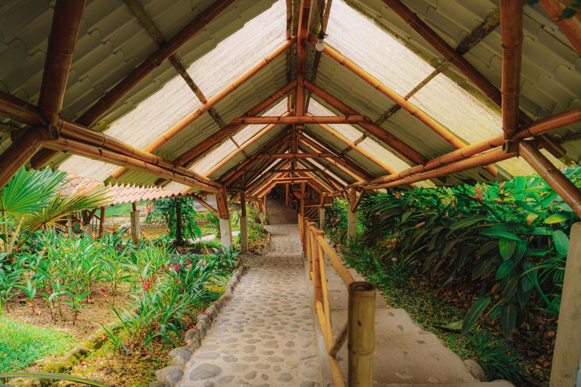 Finca Las Palmas Ecolodge Puyo Bagian luar foto